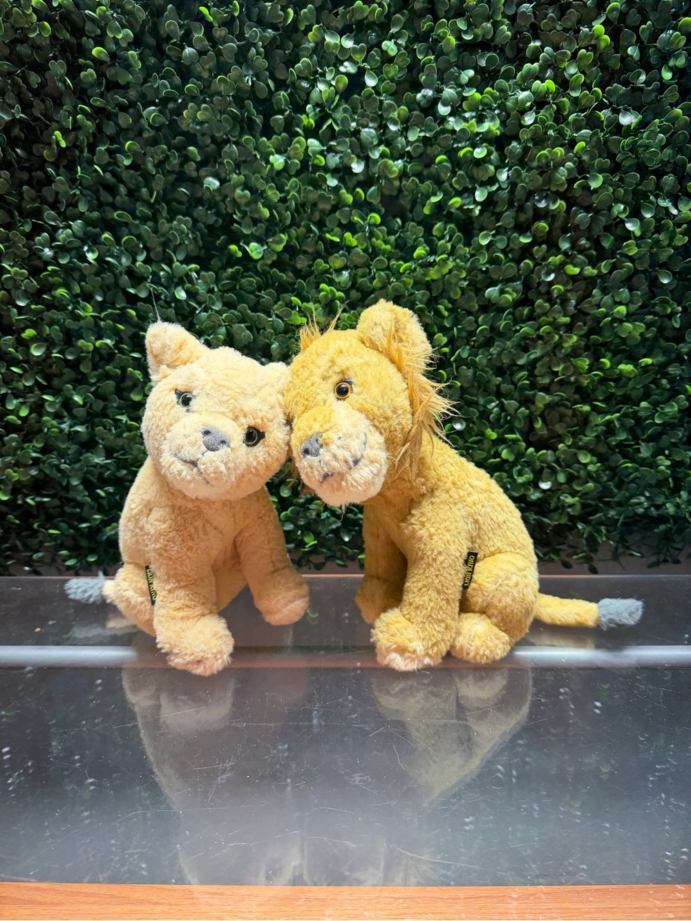 Disney Plush Lion Duo in Tan and Golden Yellow Simba and Nala